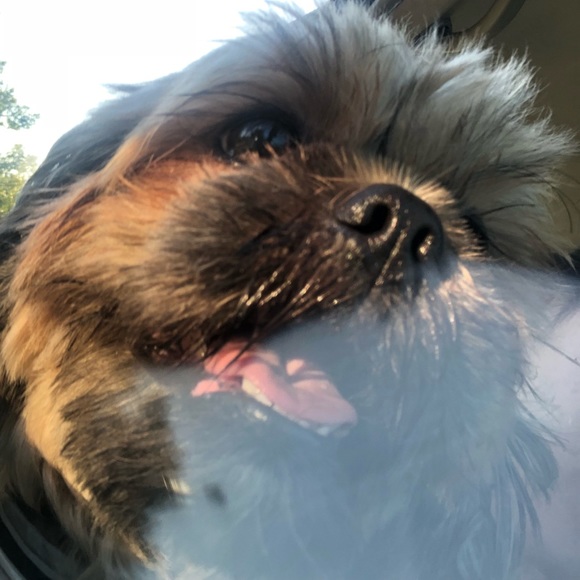 Meet your Posher, Nhi - Picture 1 of 1